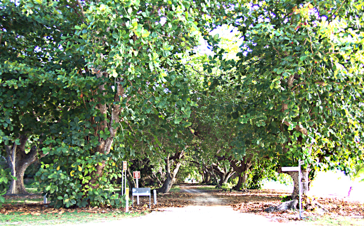 Cocos (Keeling) Islands