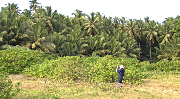 Cocos (Keeling) Islands