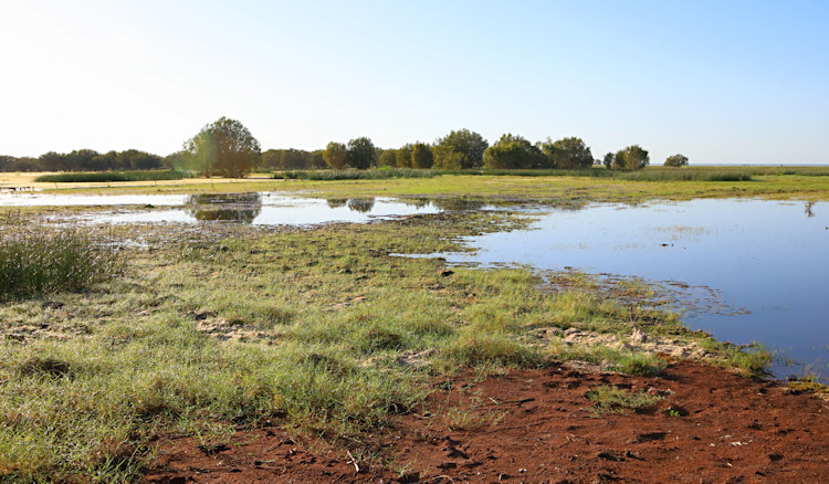 Remains of flooded plains, Great Northern Highway near Broome, WA