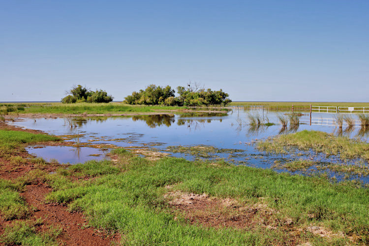 Remains of flooded plains, Great Northern Highway near Broome, WA