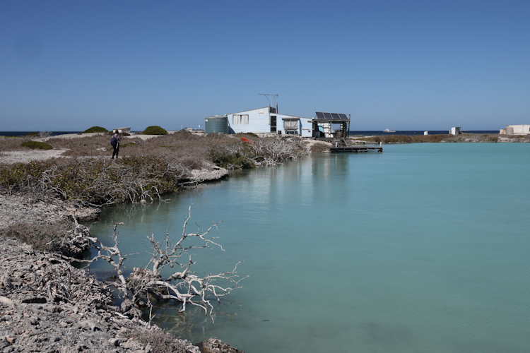 Work hut for Oyster Farm operation