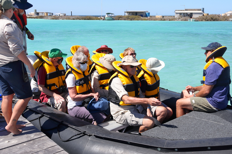 After a walk round the lagoon, a free ride back to the oyster hut