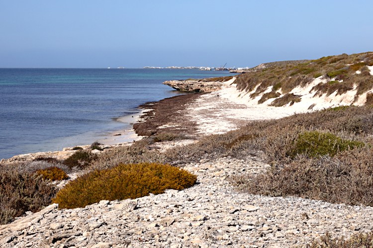 East Wallabi Island, Wallabi Group, Houtman Albrolhos Islands, Western Australia