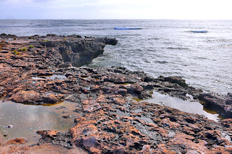 East Wallabi Island, Wallabi Group, Houtman Albrolhos Islands, Western Australia