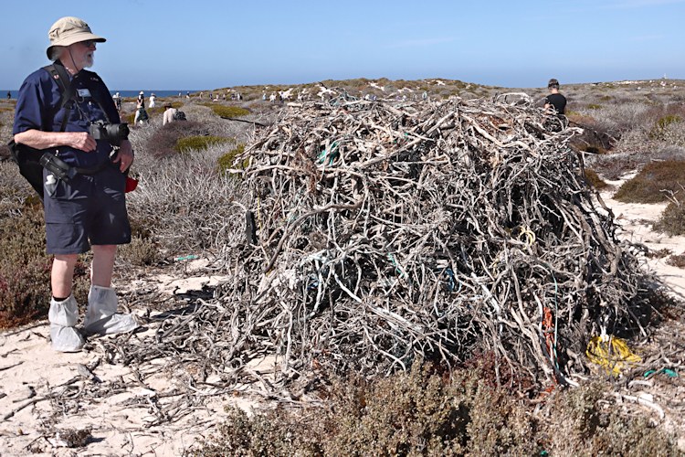 East Wallabi Island, Wallabi Group, Houtman Albrolhos Islands, Western Australia