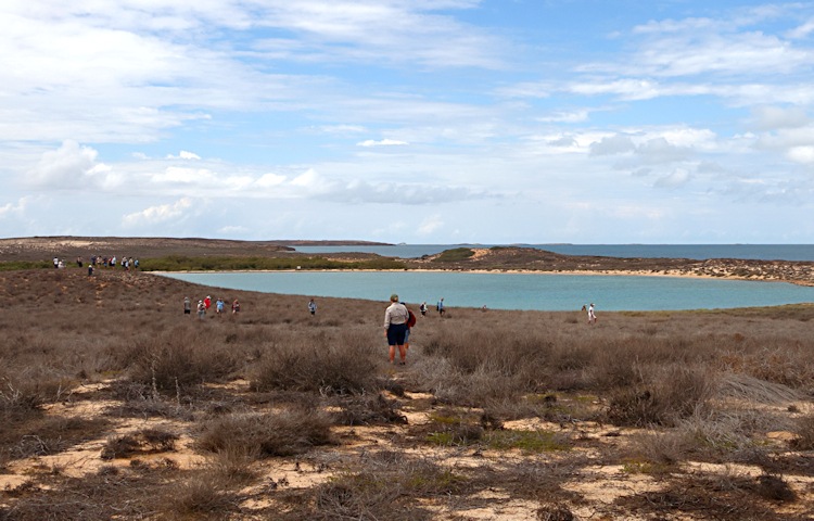 Trimouille Island, Montebello Group, Western Australia