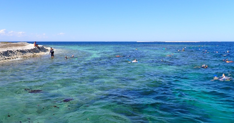 Snorkelling - Post Office Island, Pelsaert Group, Houtman Abrolhos Islands, Western Australia