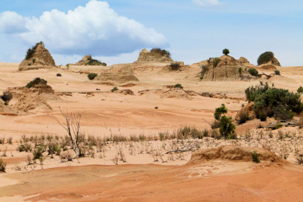 P1020367_mungo.jpg