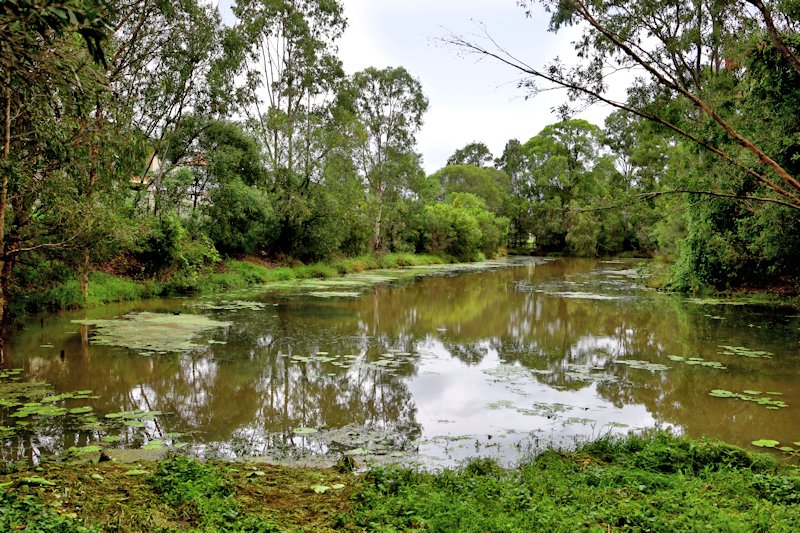 Coombabah Lakelands_Arundel Section