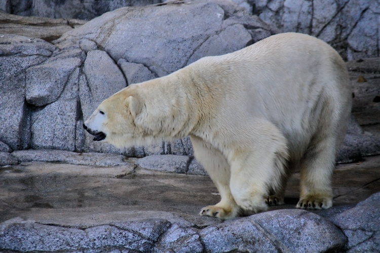 GoldCoast_WildlifeParks_IMG_5305