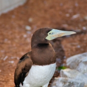 GoldCoast_WildlifeParks_IMG_5293