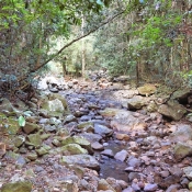 SprinbrookNationalParknearNaturalBridge_DSC06003