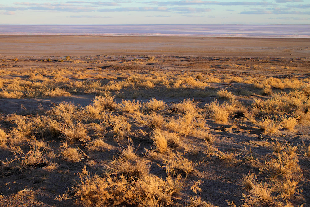 LakeEyreNorth_HalliganBay_1186.jpg