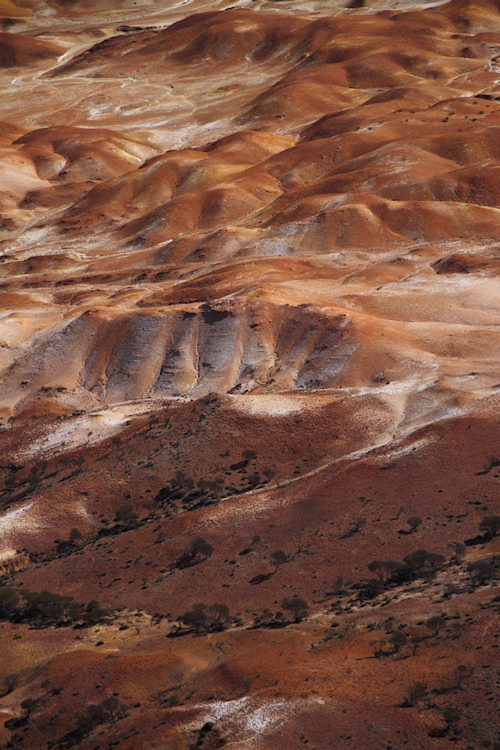 PaintedHillsSouthOfLakeEyre_1010.jpg