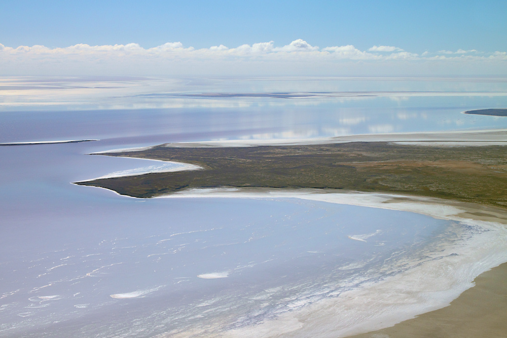 LakeEyreNorth_1142.jpg