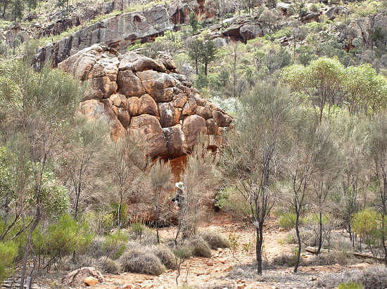 Flinders SA - Wilpena Pound Gap