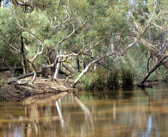 Flinders SA - Wilpena Pound Gap