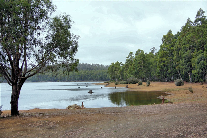 Tasmania_Brady'sLake_1405_800px