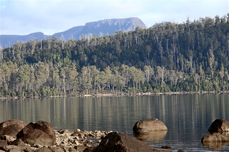 Tasmania_LakeStClair_1429_800px