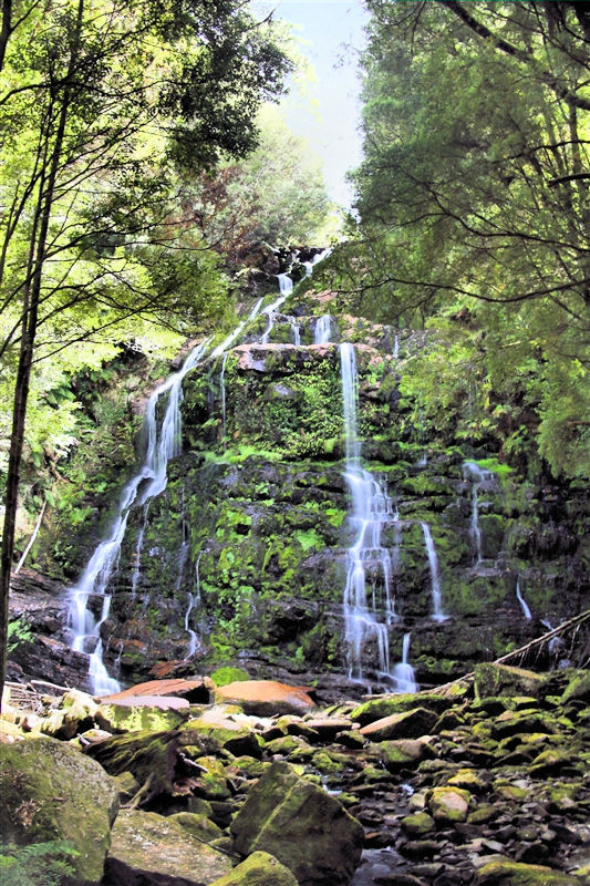 Tasmania_NelsonFalls_1505_m_4_800px