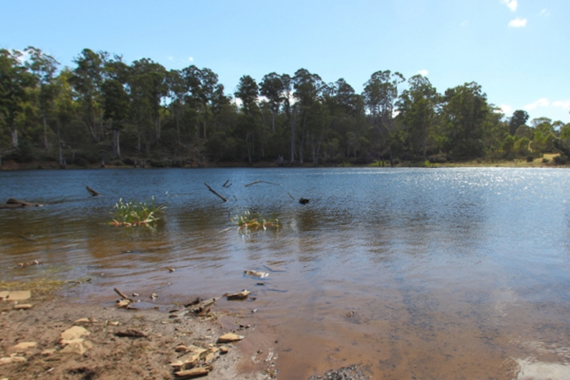 Tasmania_PineTiersLagoon_0099_800px