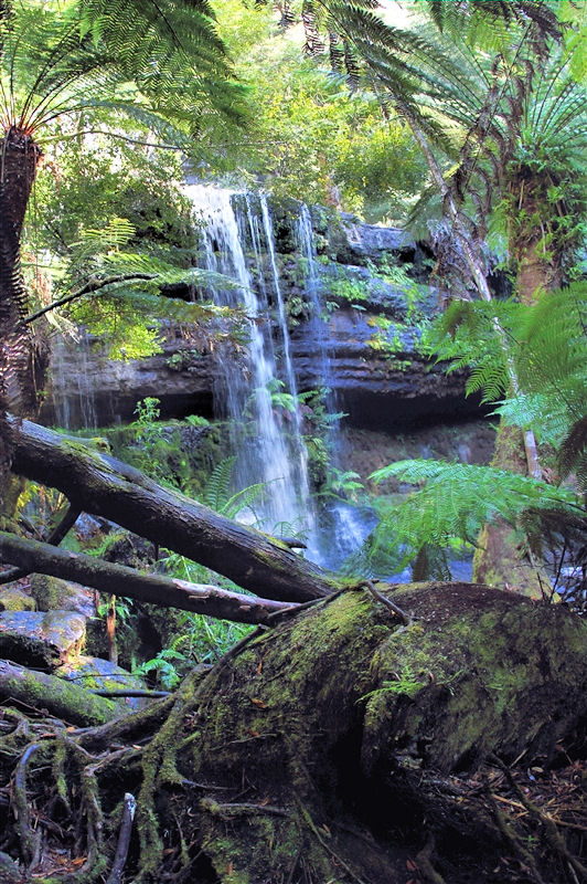 Tasmania_RussellFalls_0082_m_4_800px