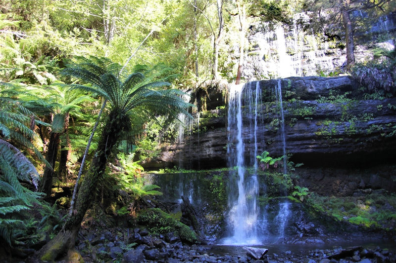 Tasmania_RussellFalls_1306_800px