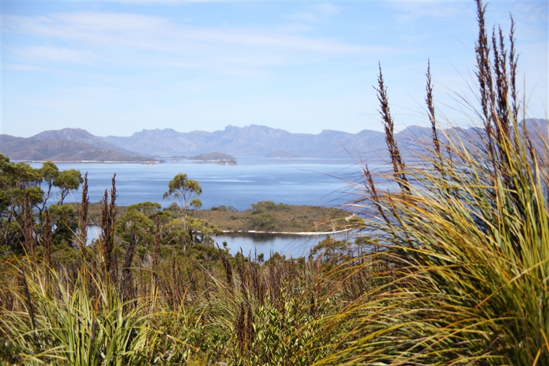 Tasmania_SG_LakePedder_1338_800px