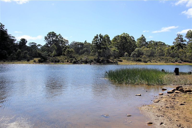 Tasmania_TungatinahLagoon_1415_800px