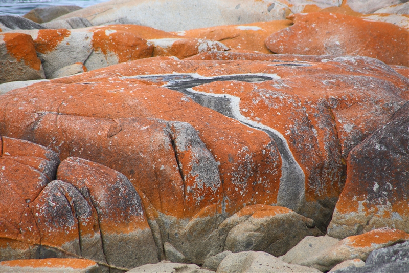 Tasmania_BayOfFires_1985_800px