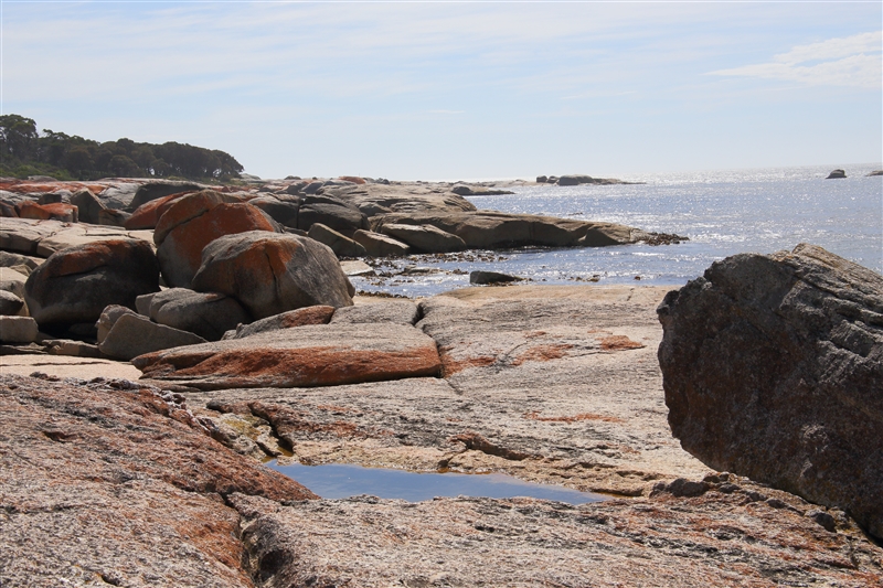 Tasmania_BichenoBlowHole_2109_800px