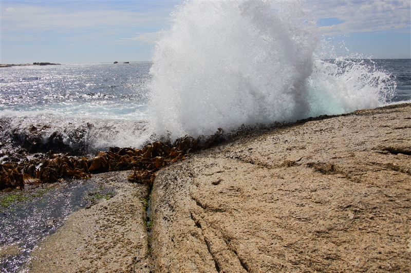 Tasmania_BichenoBlowHole_2113_800px