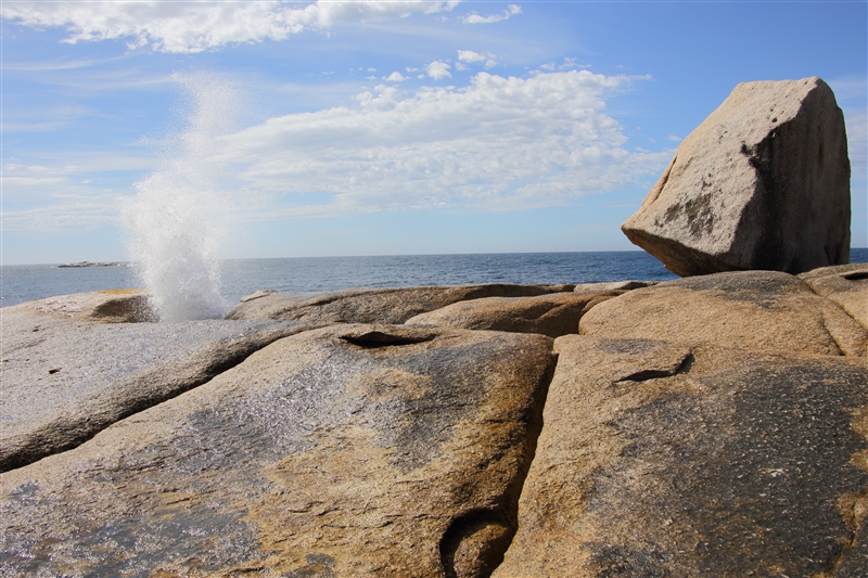 Tasmania_BichenoBlowHole_2119_800px