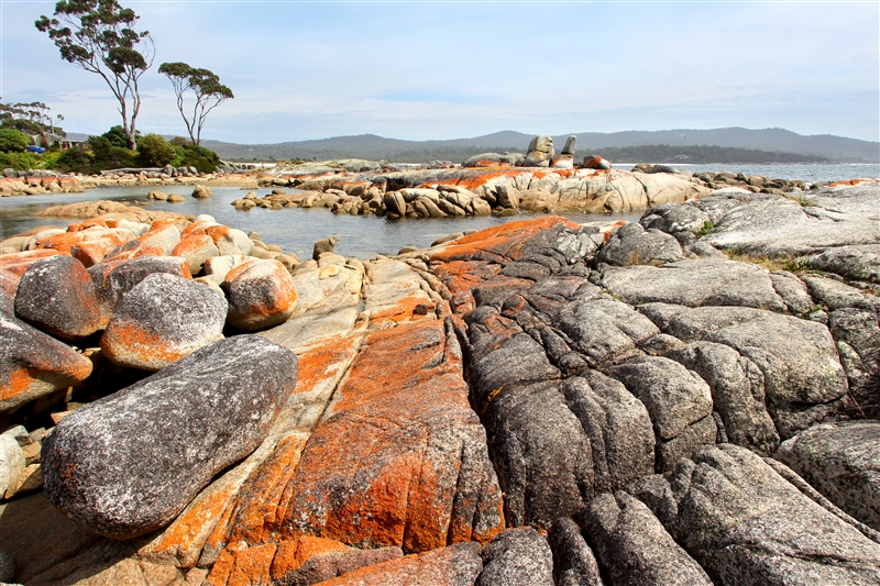 Tasmania_BinalongBay_0139_m_800px