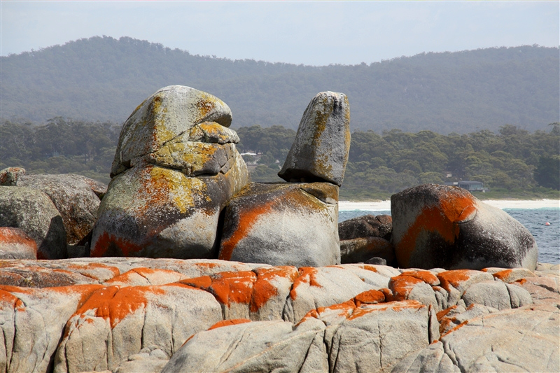 Tasmania_BinalongBay_1935_800px