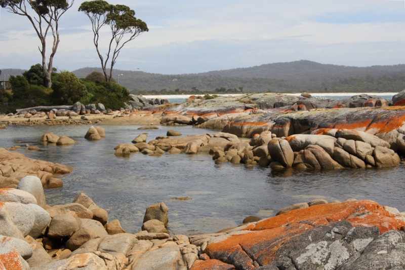Tasmania_BinalongBay_1936_800px