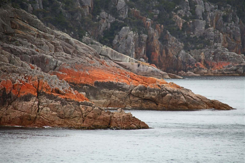 Tasmania_CapeTourvilleLookout_2155_800px