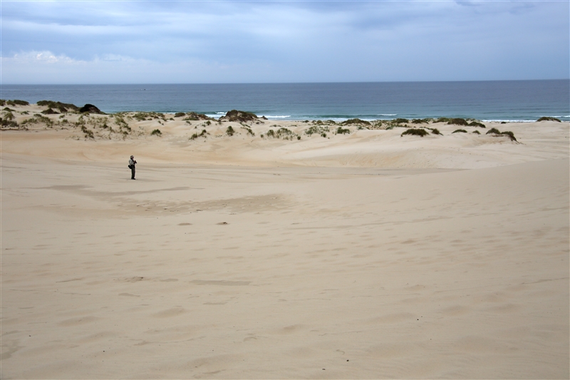 Tasmania_Peron'sDunes_2028_800px