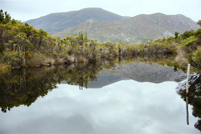 Tasmania_MelaleucaTrip_0906_800px