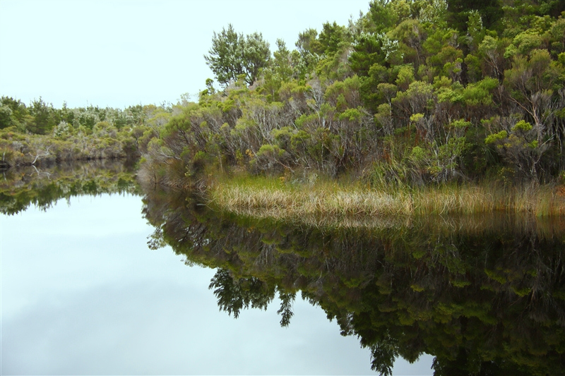 Tasmania_MelaleucaTrip_0910_800px