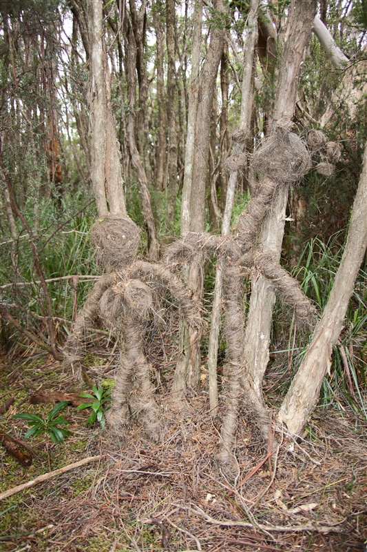Tasmania_MelaleucaTrip_0941_800px