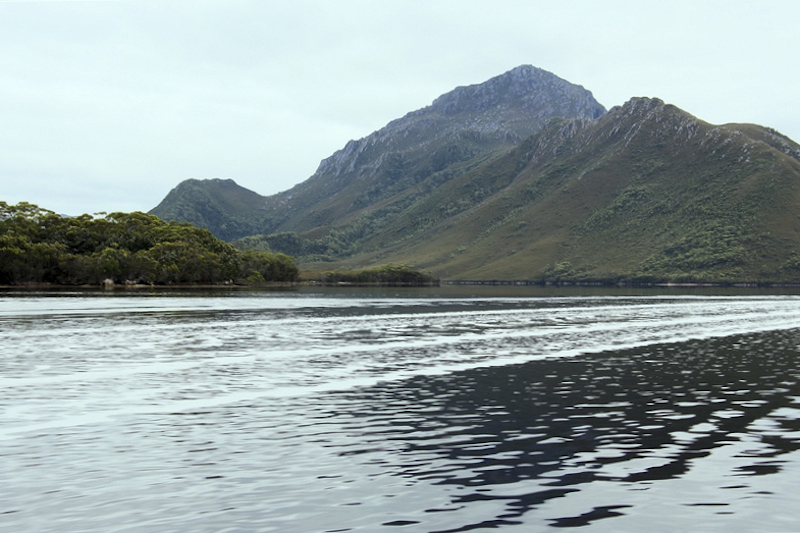 Tasmania_MelaleucaTrip_0966_800px