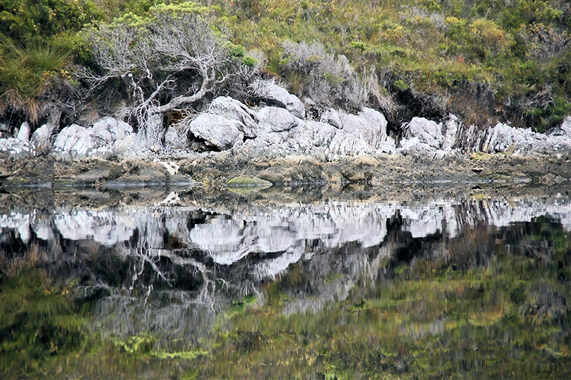 Tasmania_MelaleucaTrip_0983_800px