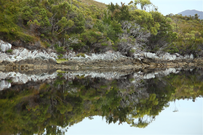 Tasmania_MelaleucaTrip_0984_800px