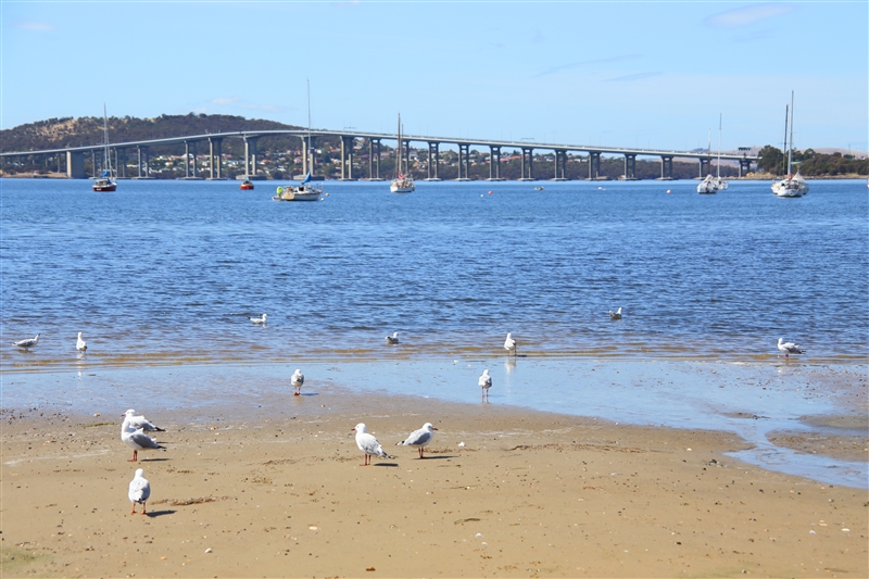 Tasmania_Hobart_TasmanBridge_0702_m_800px