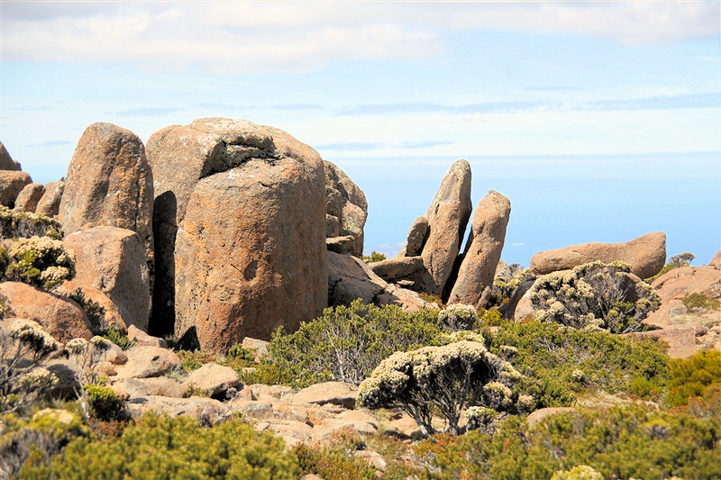 Tasmania_MountWellington_0721_800px