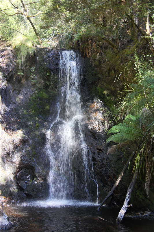 Tasmania_Strahan_HogarthFalls_1672_800px