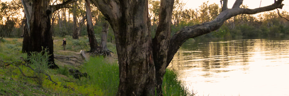 Mildura_MurrayRiverSunset_P1020136_3.jpg