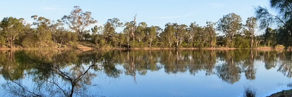 Mildura_MurrayRiver_P1020118_3.jpg