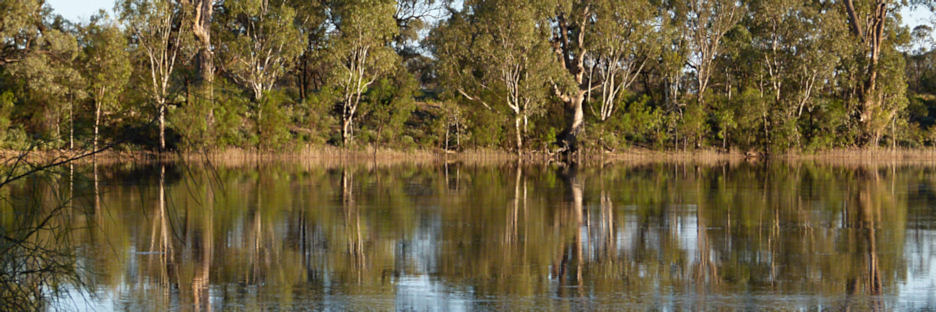 Mildura_MurrayRiver_P1020119_3.jpg